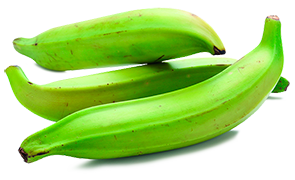 001_Platano_macho