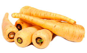 002_zanahoria_blanca