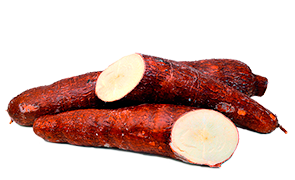 003_yuca_ok