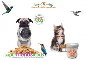 Superfriends-Foods-conjunto